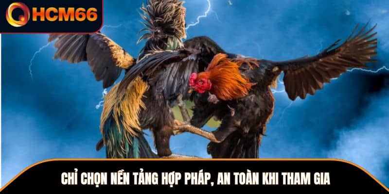 Chỉ chọn nền tảng hợp pháp, an toàn khi tham gia