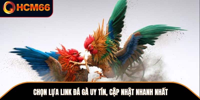 Chọn lựa link đá gà uy tín, cập nhật nhanh nhất